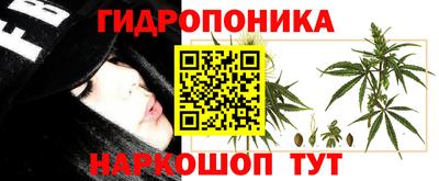 стафф Канаш