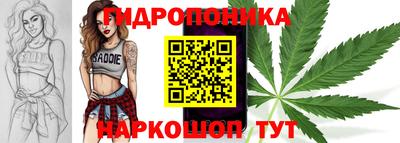 стафф Канаш