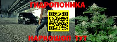 стафф Канаш